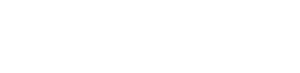 耐特菲姆